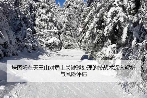 ta-tu-mu-zai-tian-wang-shan-dui-yong-shi-guan-jian-qiu-chu-li-de-ji-zhan-shu-shen-ru-jie-xi-yu-feng-xian-ping-gu-2-918.jpg