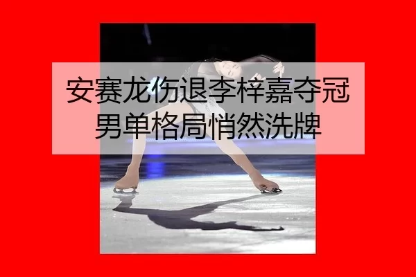 安赛龙伤退李梓嘉夺冠 男单格局悄然洗牌