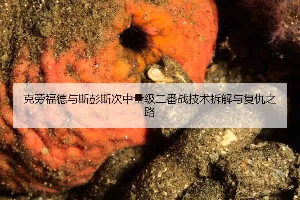 克劳福德与斯彭斯次中量级二番战技术拆解与复仇之路